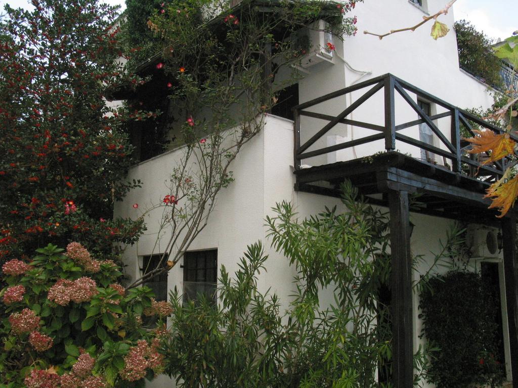 טסגרדה Villa Georgie מראה חיצוני תמונה